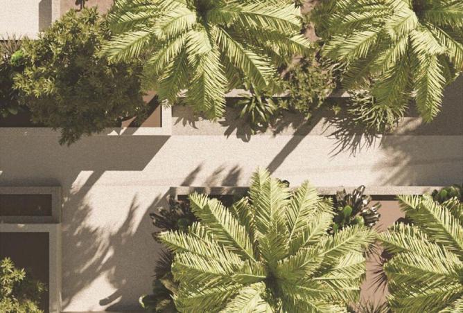 81960988 - صورة العقار 3