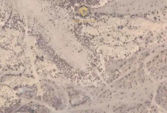 53581999 - صورة العقار 2