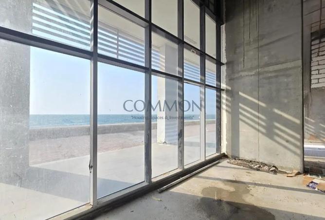 77793183 - Property Image 3