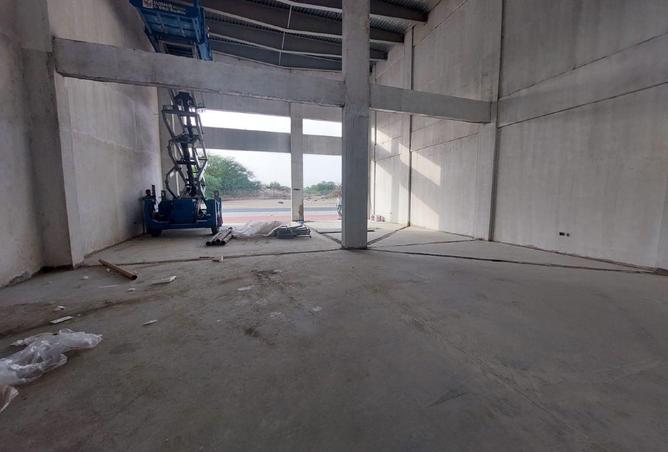 16106992 - صورة العقار 3