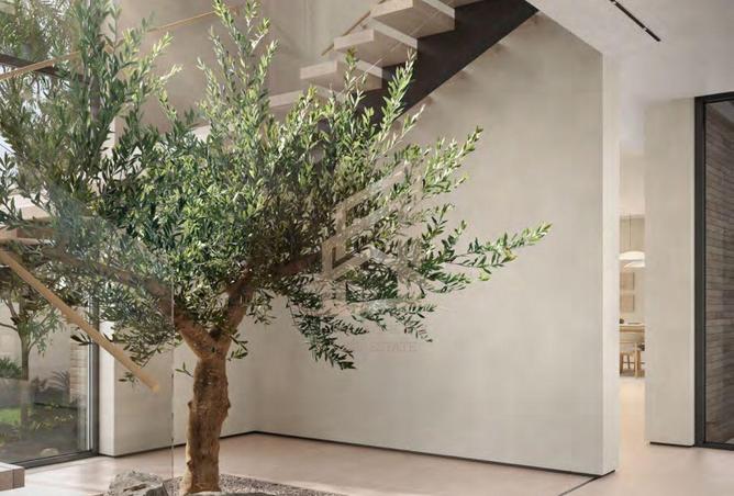 16330943 - صورة العقار 3