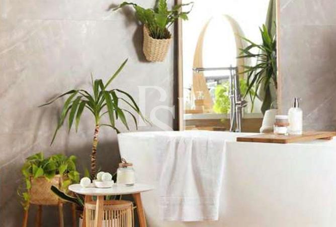 68682419 - صورة العقار 3