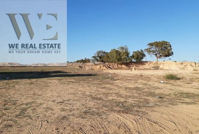 82376053 - Property Image 2