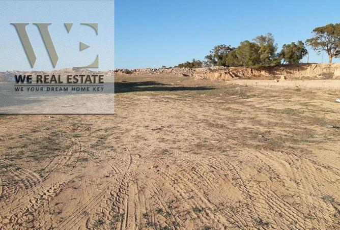 82376053 - Property Image 3