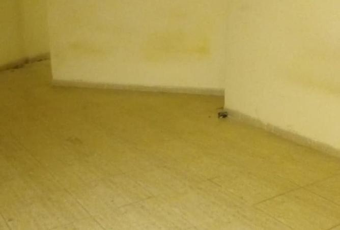 16124169 - Property Image 3