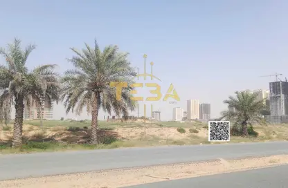 أرض - استوديو للبيع في العامرة جاردنز - العامرة - عجمان أرض - استوديو للبيع في العامرة جاردنز - العامرة - عجمان