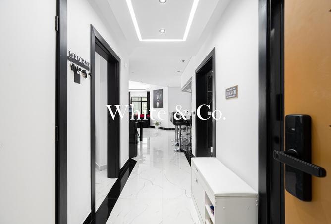 16305922 - Property Image 3