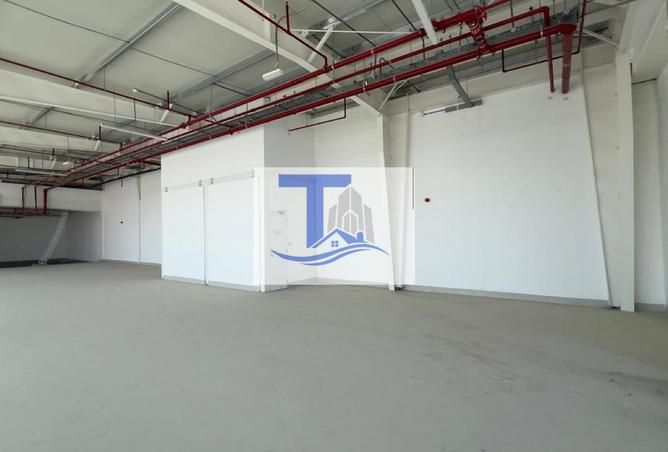 54008743 - Property Image 3