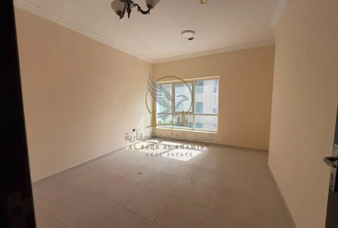 146902527 - Property Image 3