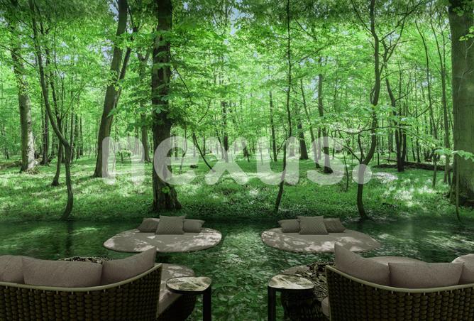 54386243 - صورة العقار 3