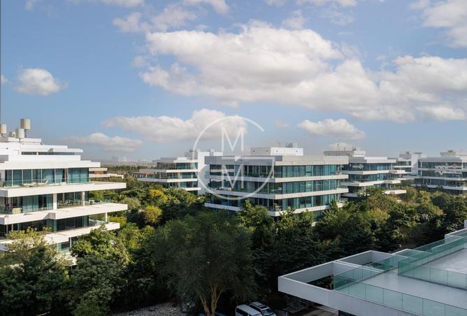 16255608 - Property Image 2