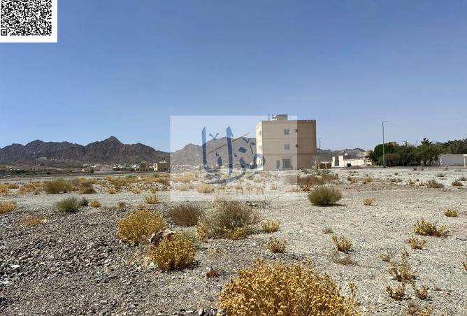 16006820 - Property Image 2