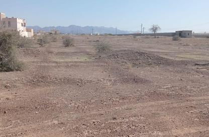 Land - Studio for sale in Manama - Ajman