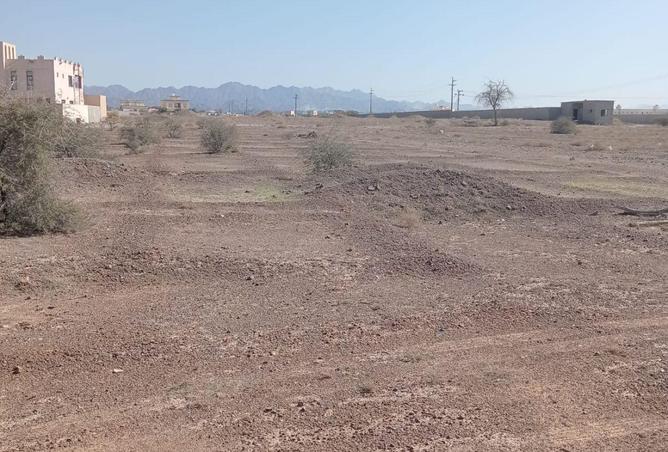 16167961 - Property Image 3