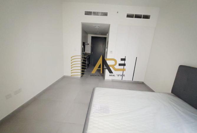 16304856 - Property Image 3