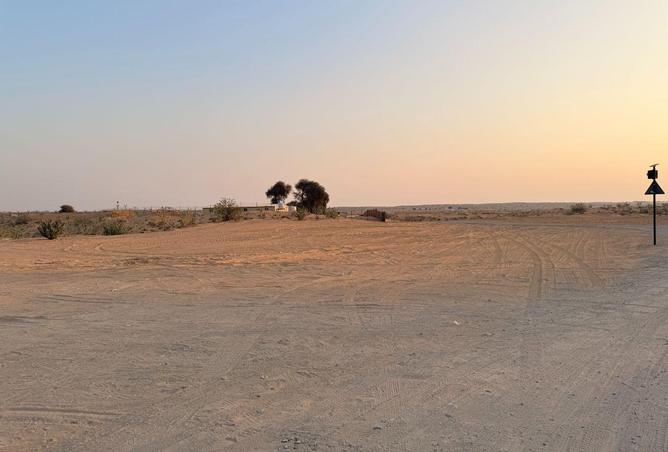 16074968 - Property Image 3