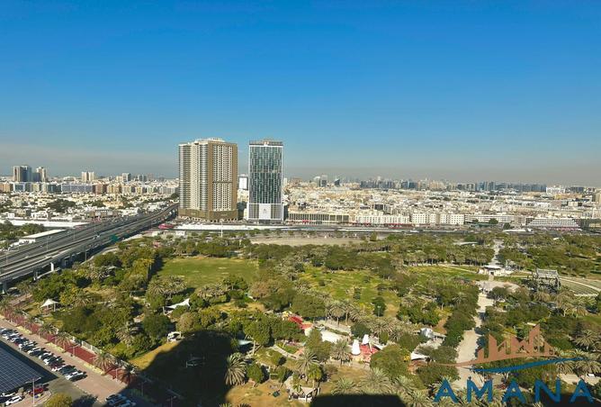 16105691 - Property Image 3