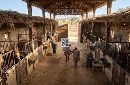 Farm - Studio for rent in Al Zubair 1 - Al Zubair - Sharjah