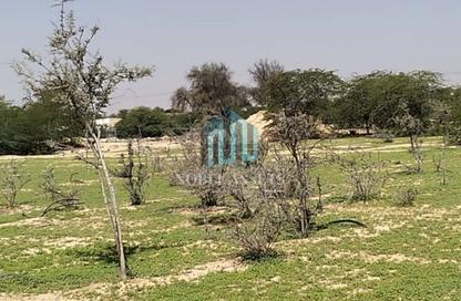 Farm - Studio for rent in Khatt - Ras Al Khaimah