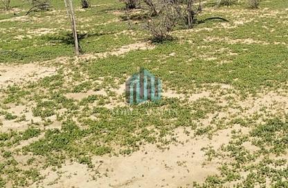 Farm - Studio for rent in Khatt - Ras Al Khaimah