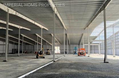 Warehouse - Studio - 4 Bathrooms for rent in Umm Al Thuoob - Umm Al Quwain