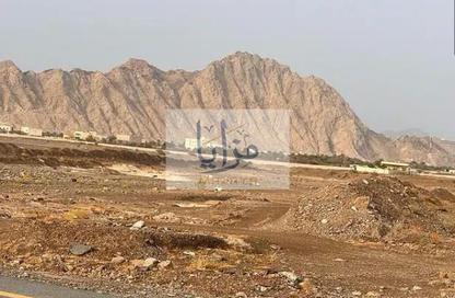 Farm - Studio for rent in Aquamarine Beach Residences - Siniyah Island - Umm Al Quwain Marina - Umm Al Quwain