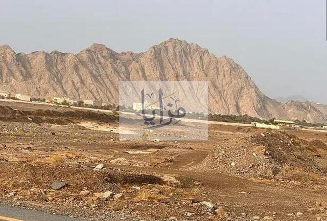 106844540 - Property Image 3