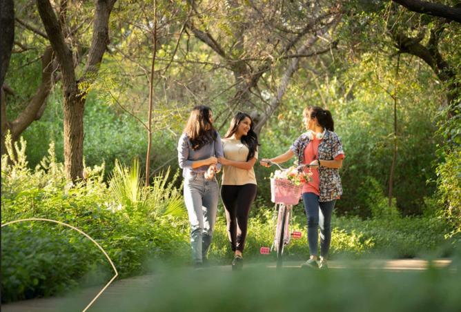 16046102 - Property Image 3