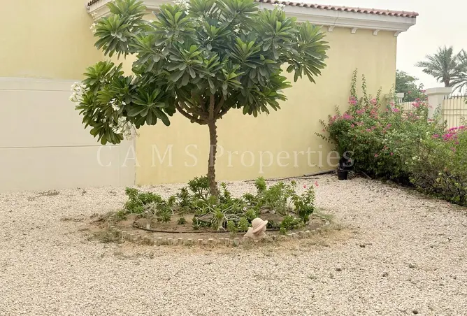 123389455 - Property Image 3