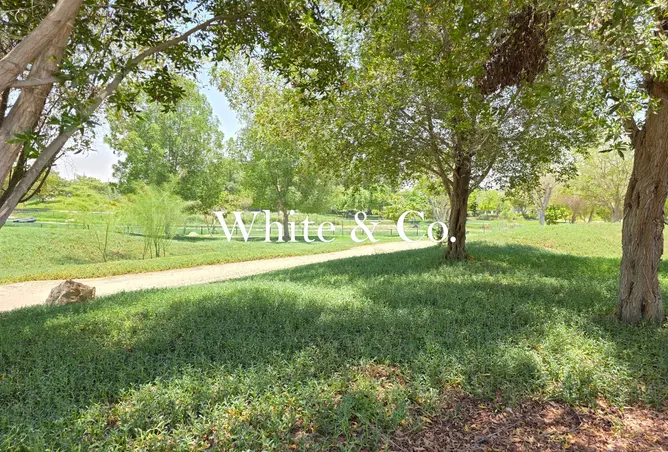 164563790 - Property Image 3