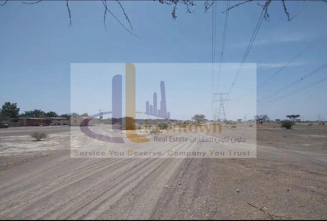 16187537 - Property Image 3