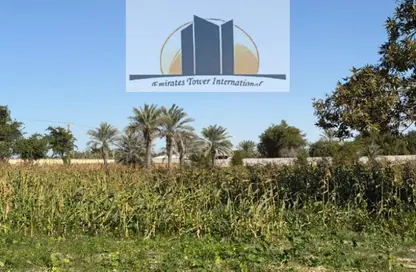 مزرعة - استوديو للبيع في الباهية - أبوظبي