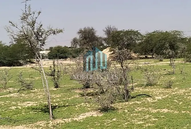 147768467 - صورة العقار 3