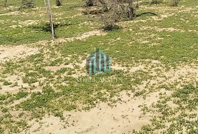 147768467 - صورة العقار 2