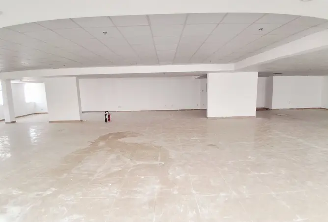155097830 - Property Image 3