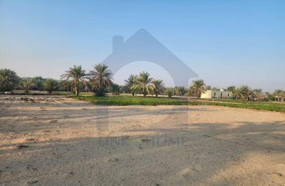 Farm - Studio for sale in Al Wathba - Abu Dhabi