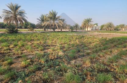 Farm - Studio for sale in Al Wathba - Abu Dhabi