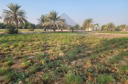 Farm - Studio for sale in Al Wathba - Abu Dhabi