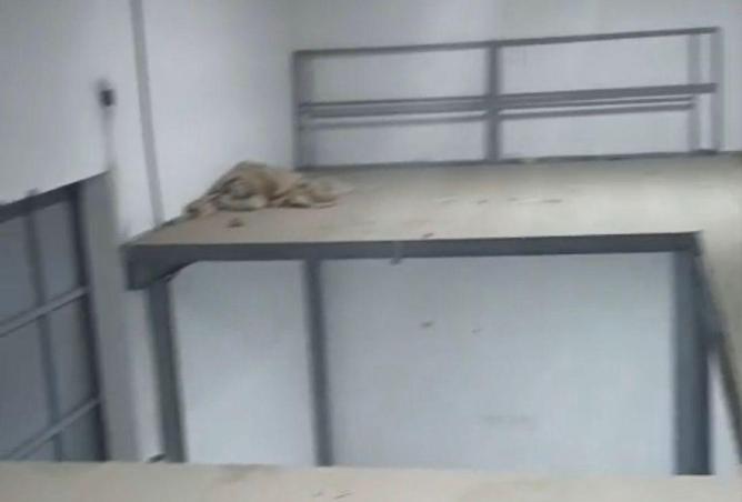 78971850 - Property Image 2