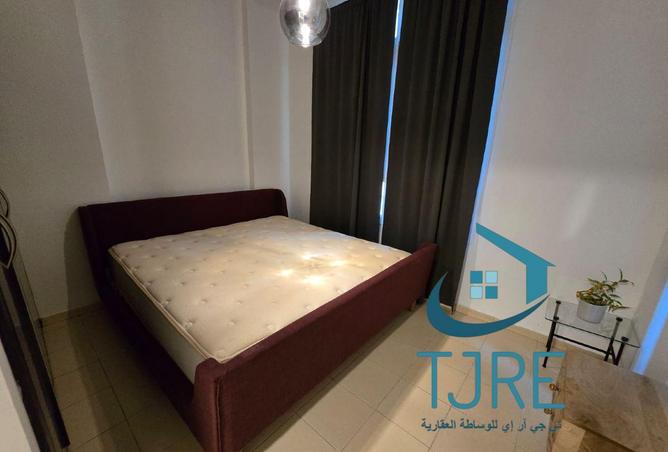 113729856 - Property Image 2