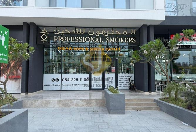 113285256 - Property Image 2