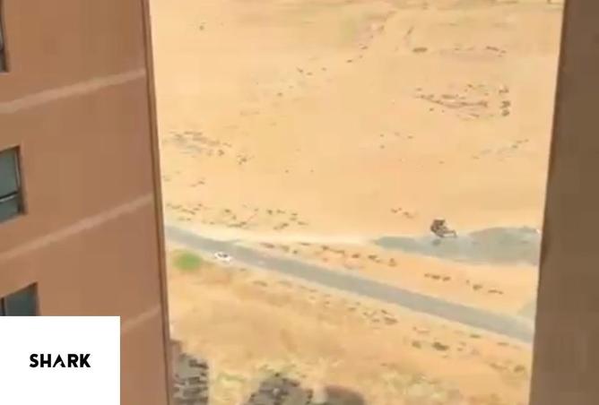 74623937 - Property Image 2