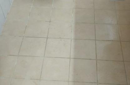 Apartment - Studio - 1 for rent in Mogul Cluster - Discovery Gardens - Dubai