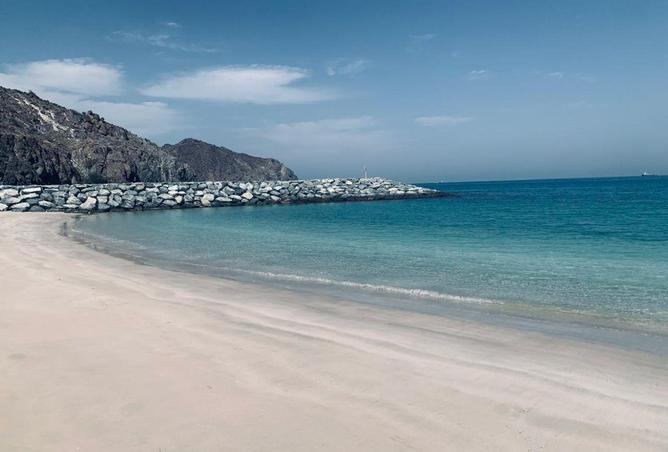 88734694 - صورة العقار 2
