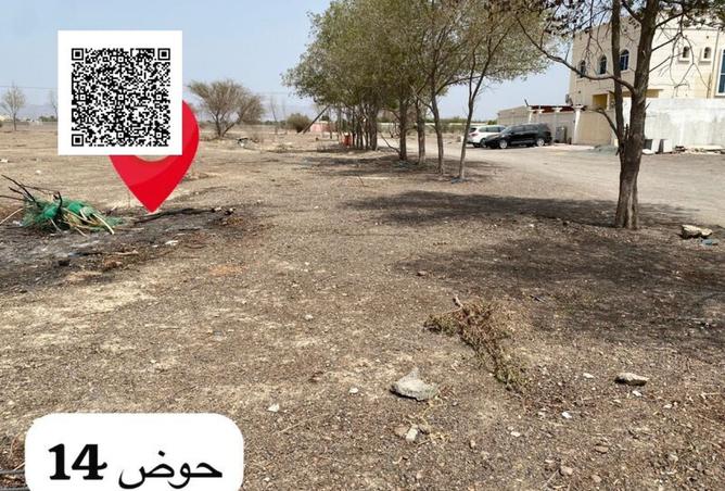 141434942 - Property Image 2