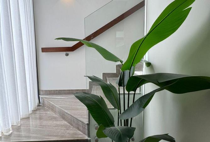 80284406 - Property Image 2