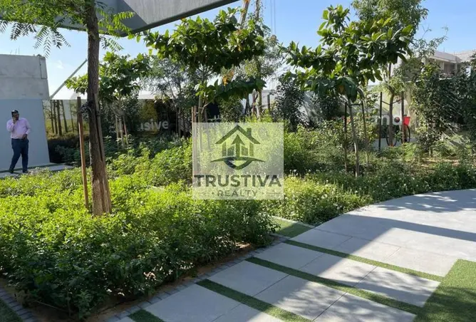 155586446 - Property Image 3