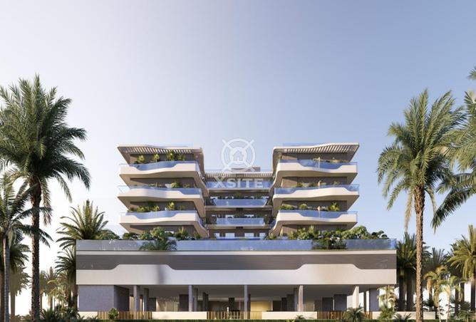 16058825 - صورة العقار 3