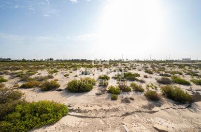 Land - Studio for sale in Saih Shuiab House - Jebel Ali Hills - Saih Shuaib 1 - Jebel Ali - Dubai Land - Studio for sale in Saih Shuiab House - Jebel Ali Hills - Saih Shuaib 1 - Jebel Ali - Dubai