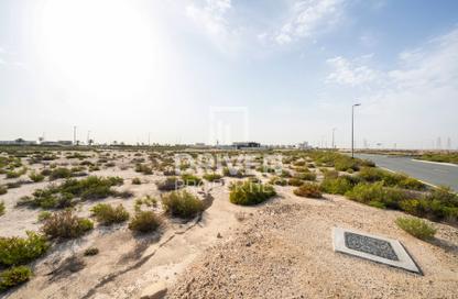 Land - Studio for sale in Saih Shuiab House - Jebel Ali Hills - Saih Shuaib 1 - Jebel Ali - Dubai Land - Studio for sale in Saih Shuiab House - Jebel Ali Hills - Saih Shuaib 1 - Jebel Ali - Dubai